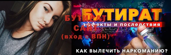 шишки Медвежьегорск