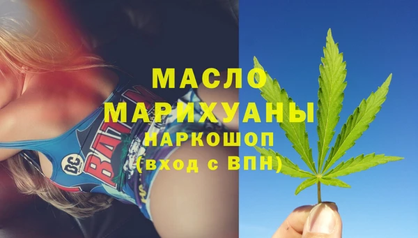 шишки Медвежьегорск