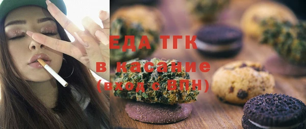 индика Медногорск