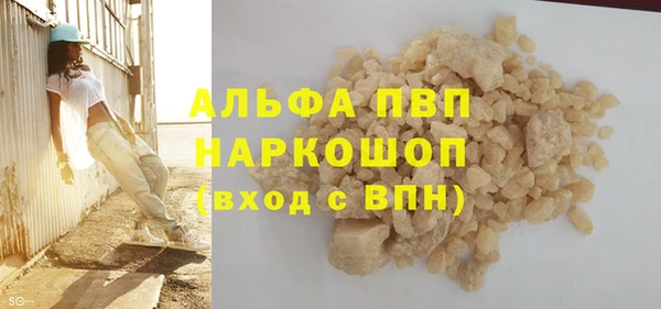 индика Медногорск