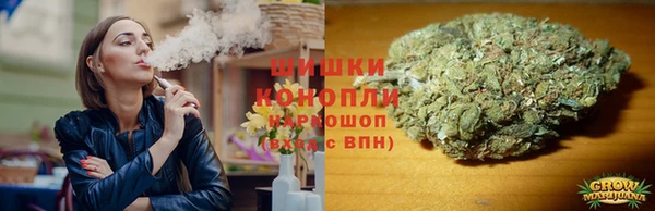 шишки Медвежьегорск