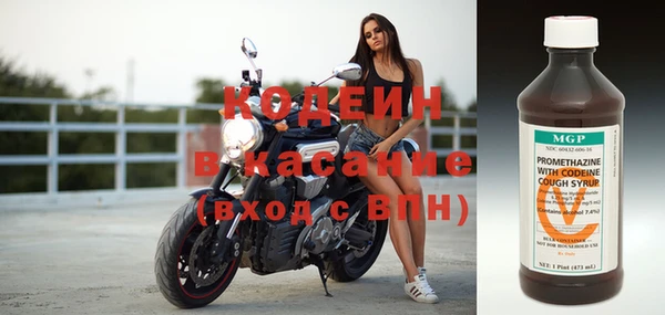 индика Медногорск