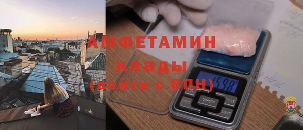 индика Медногорск