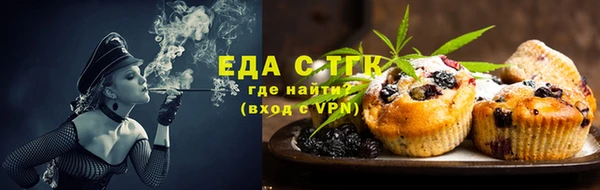 индика Медногорск