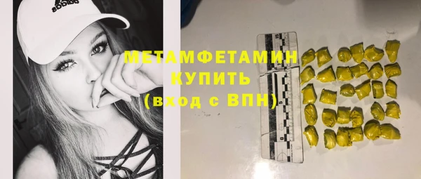 шишки Медвежьегорск