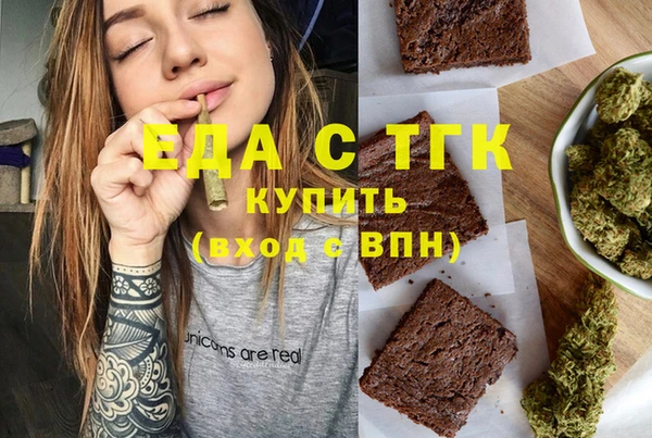 индика Медногорск
