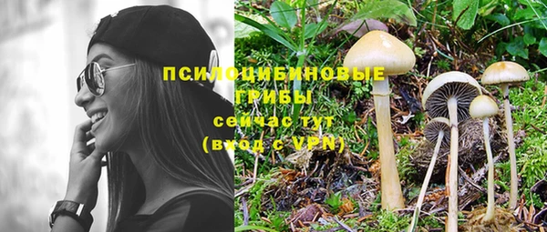 индика Медногорск