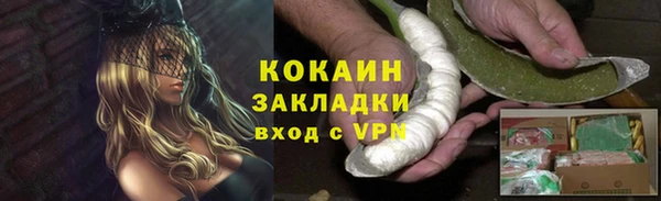 шишки Медвежьегорск