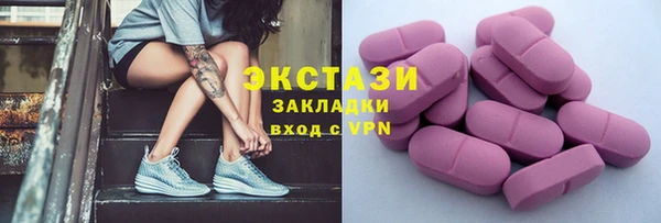 индика Медногорск