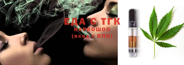индика Медногорск