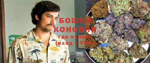 шишки Медвежьегорск