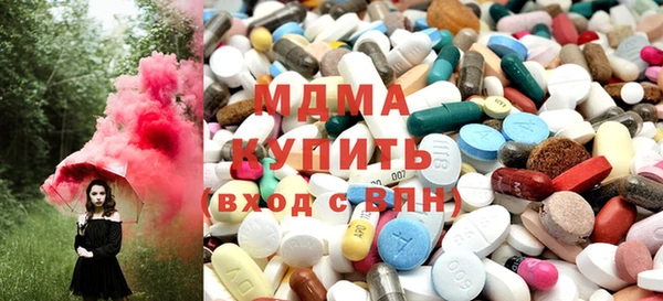 индика Медногорск