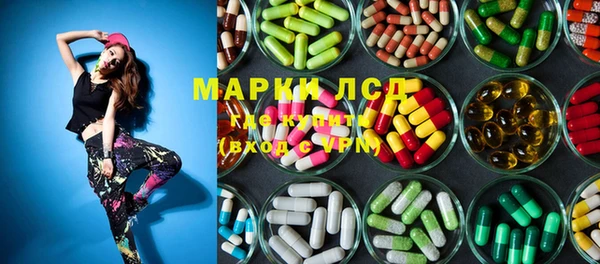 индика Медногорск