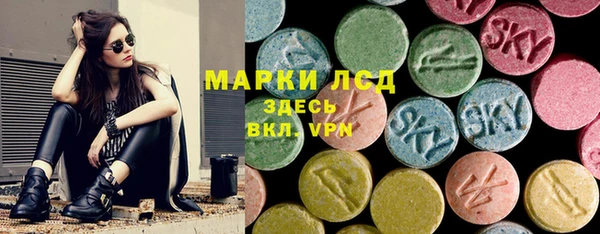 шишки Медвежьегорск