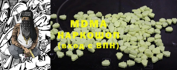 индика Медногорск