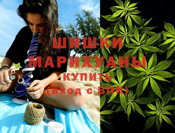 индика Медногорск