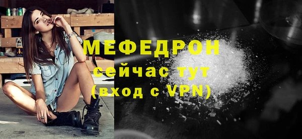 шишки Медвежьегорск