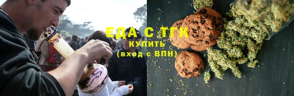 индика Медногорск